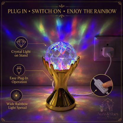 Plug in switch on enjoy the rainbow - feature infographic
