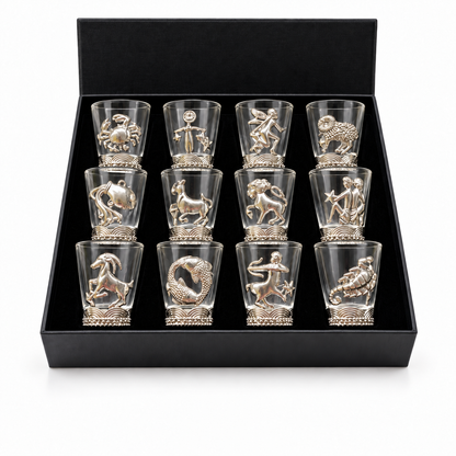 Aura & Hues 12-Piece Zodiac Sign Silver Whiskey Glass Set - 300ml Luxury Barware
